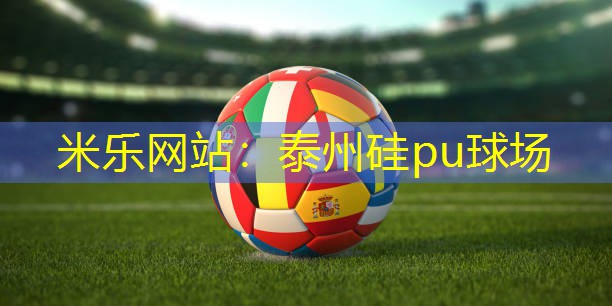 米乐网站：泰州硅pu球场