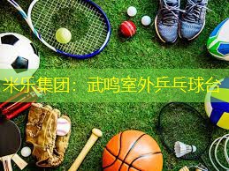 米乐集团：武鸣室外乒乓球台