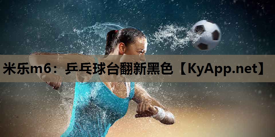 米乐m6：乒乓球台翻新黑色