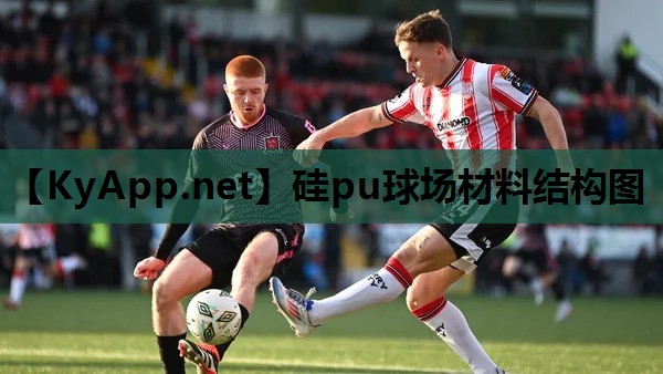 硅pu球场材料结构图