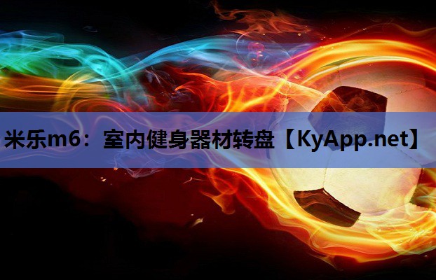 米乐m6：室内健身器材转盘