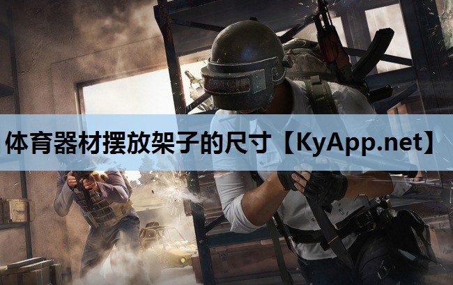 体育器材摆放架子的尺寸