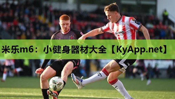 米乐m6：小健身器材大全