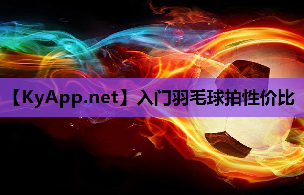 入门羽毛球拍性价比