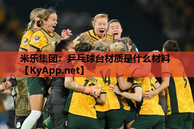 米乐集团：乒乓球台材质是什么材料