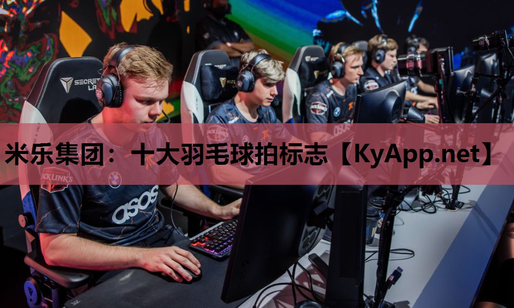 米乐集团：十大羽毛球拍标志