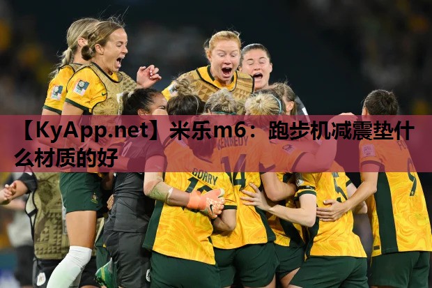 米乐m6：跑步机减震垫什么材质的好