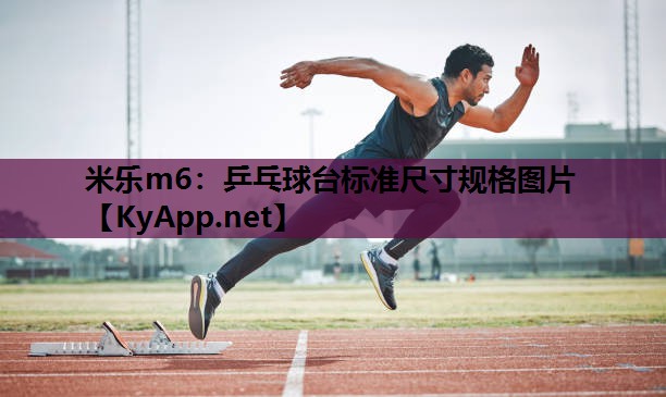 米乐m6：乒乓球台标准尺寸规格图片