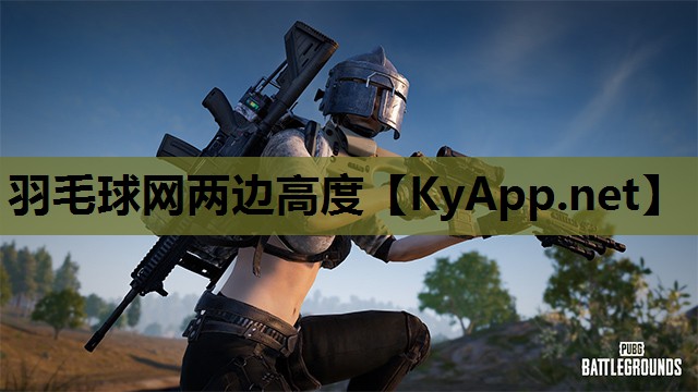 羽毛球网两边高度
