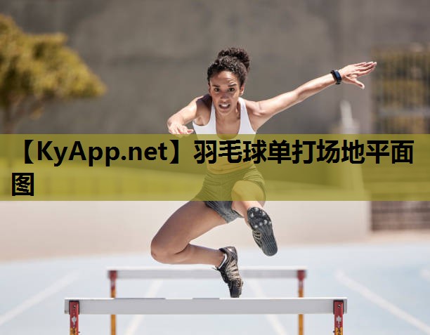 羽毛球单打场地平面图