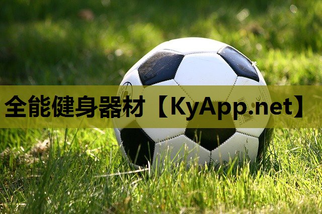 全能健身器材