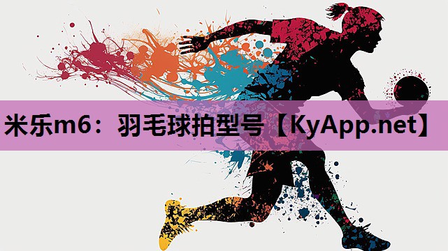 米乐m6：羽毛球拍型号