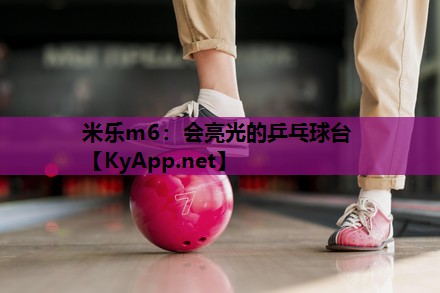 会亮光的乒乓球台 会亮光的乒乓球台