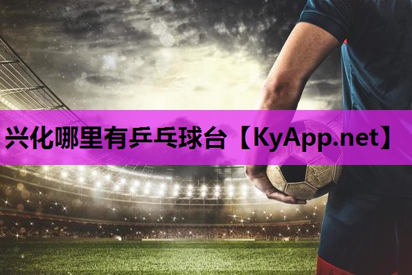 兴化哪里有乒乓球台 兴化哪里有乒乓球台