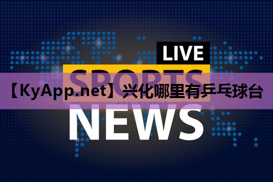兴化哪里有乒乓球台 兴化哪里有乒乓球台