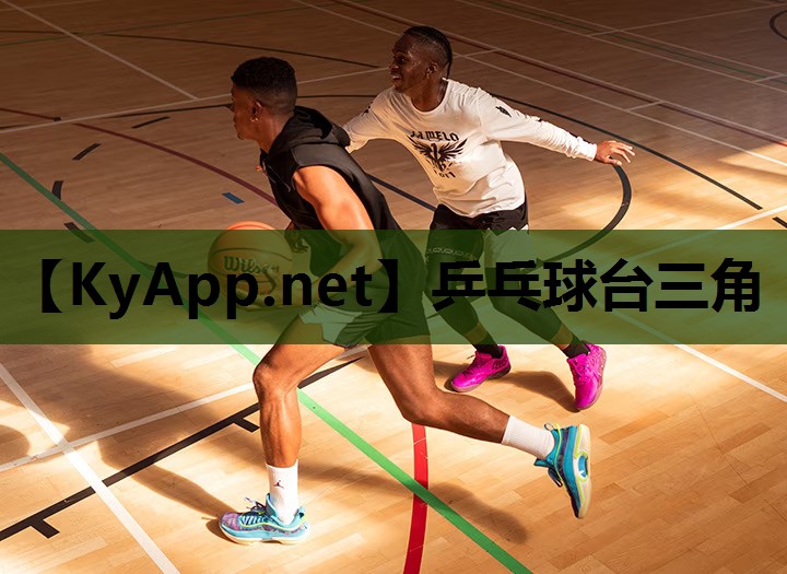 乒乓球台三角 乒乓球台三角