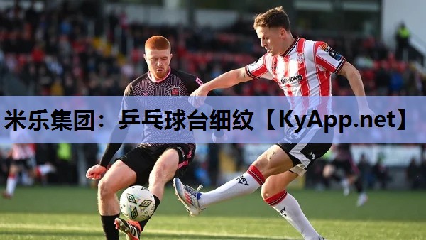 乒乓球台细纹 乒乓球台细纹