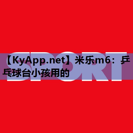 乒乓球台小孩用的 乒乓球台小孩用的