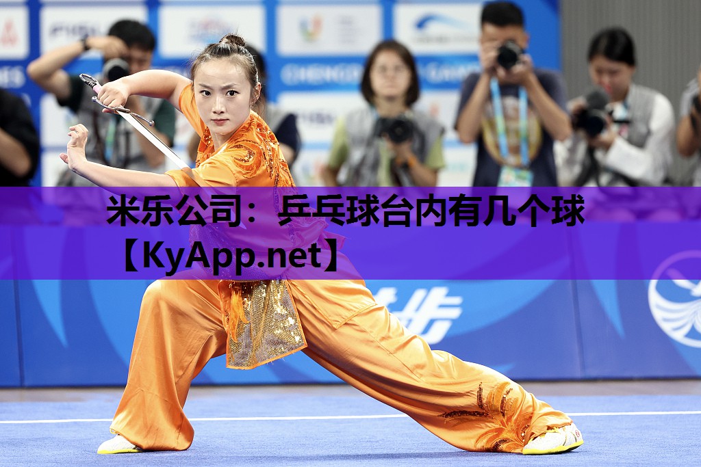 乒乓球台内有几个球 乒乓球台内有几个球