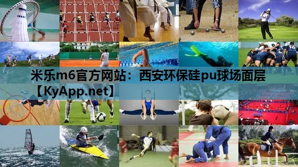 西安环保硅pu球场面层 西安环保硅pu球场面层