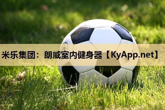 朗威室内健身器 朗威室内健身器