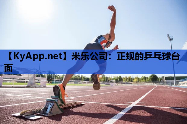 正规的乒乓球台面 正规的乒乓球台面