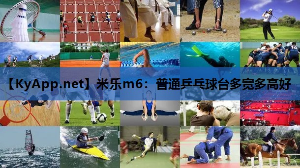 普通乒乓球台多宽多高好 普通乒乓球台多宽多高好