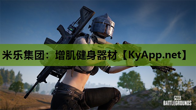 增肌健身器材 增肌健身器材