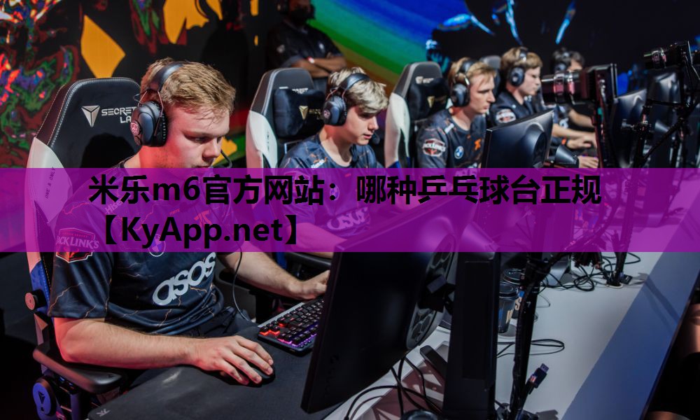 哪种乒乓球台正规 哪种乒乓球台正规