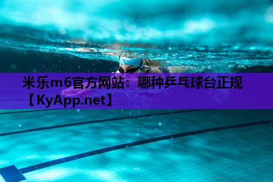 哪种乒乓球台正规 哪种乒乓球台正规
