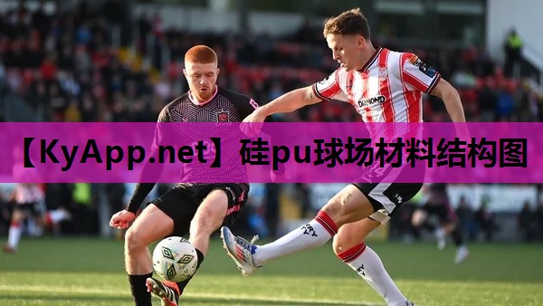 硅pu球场材料结构图 硅pu球场材料结构图