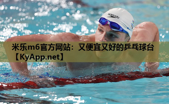 又便宜又好的乒乓球台 又便宜又好的乒乓球台