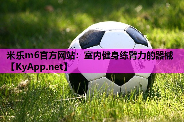 室内健身练臂力的器械 室内健身练臂力的器械