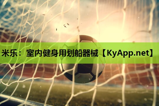 室内健身用划船器械 室内健身用划船器械