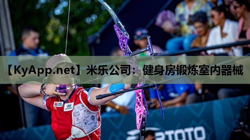 健身房锻炼室内器械 健身房锻炼室内器械