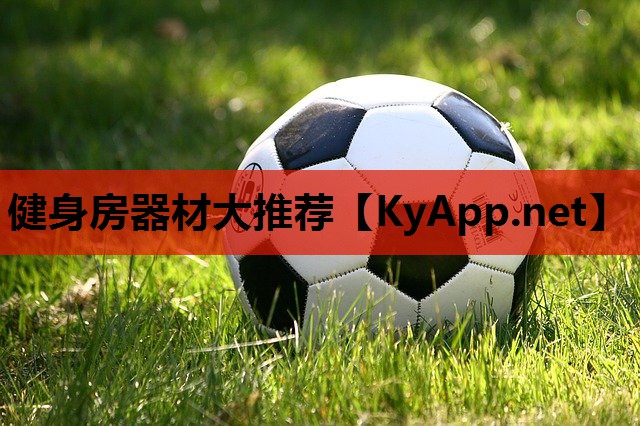 健身房器材大推荐 健身房器材大推荐