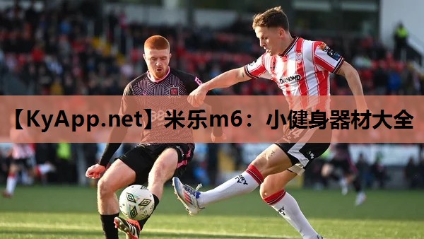 小健身器材大全 小健身器材大全