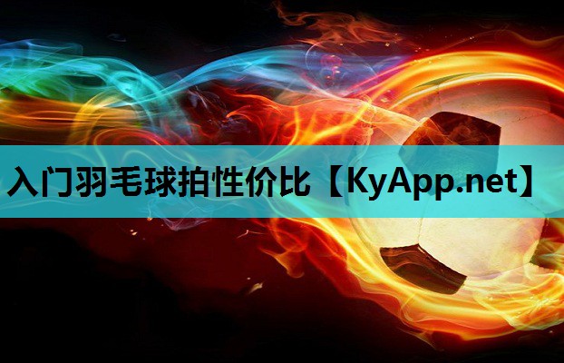 入门羽毛球拍性价比 入门羽毛球拍性价比
