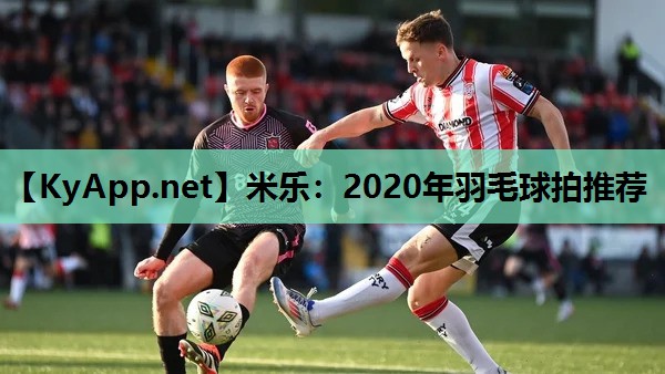 2020年羽毛球拍推荐 2020年羽毛球拍推荐