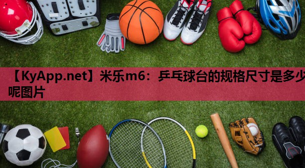 乒乓球台的规格尺寸是多少呢图片 乒乓球台的规格尺寸是多少呢图片