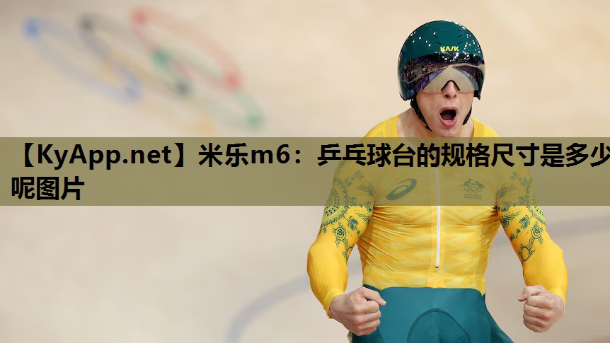乒乓球台的规格尺寸是多少呢图片 乒乓球台的规格尺寸是多少呢图片