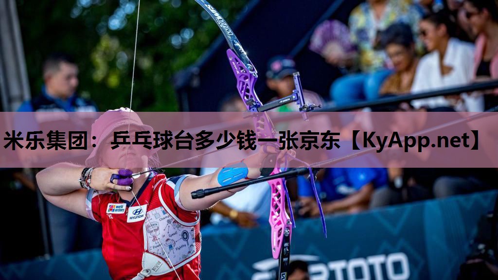 乒乓球台多少钱一张京东 乒乓球台多少钱一张京东