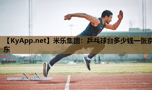 乒乓球台多少钱一张京东 乒乓球台多少钱一张京东