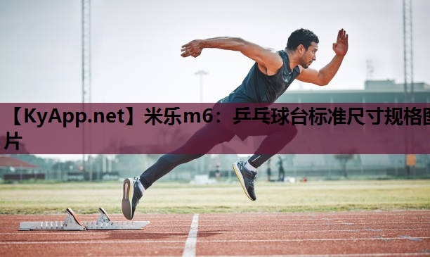 乒乓球台标准尺寸规格图片 乒乓球台标准尺寸规格图片