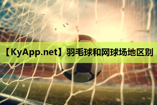 羽毛球和网球场地区别 羽毛球和网球场地区别