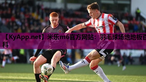 羽毛球场地地板百科 羽毛球场地地板百科