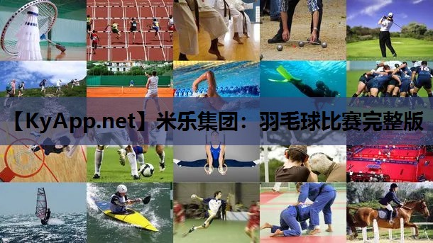 羽毛球比赛完整版 羽毛球比赛完整版