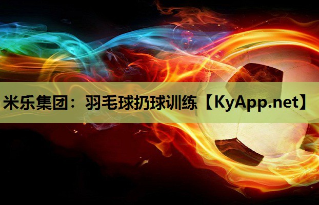 羽毛球扔球训练 羽毛球扔球训练