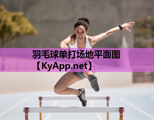 羽毛球单打场地平面图 羽毛球单打场地平面图