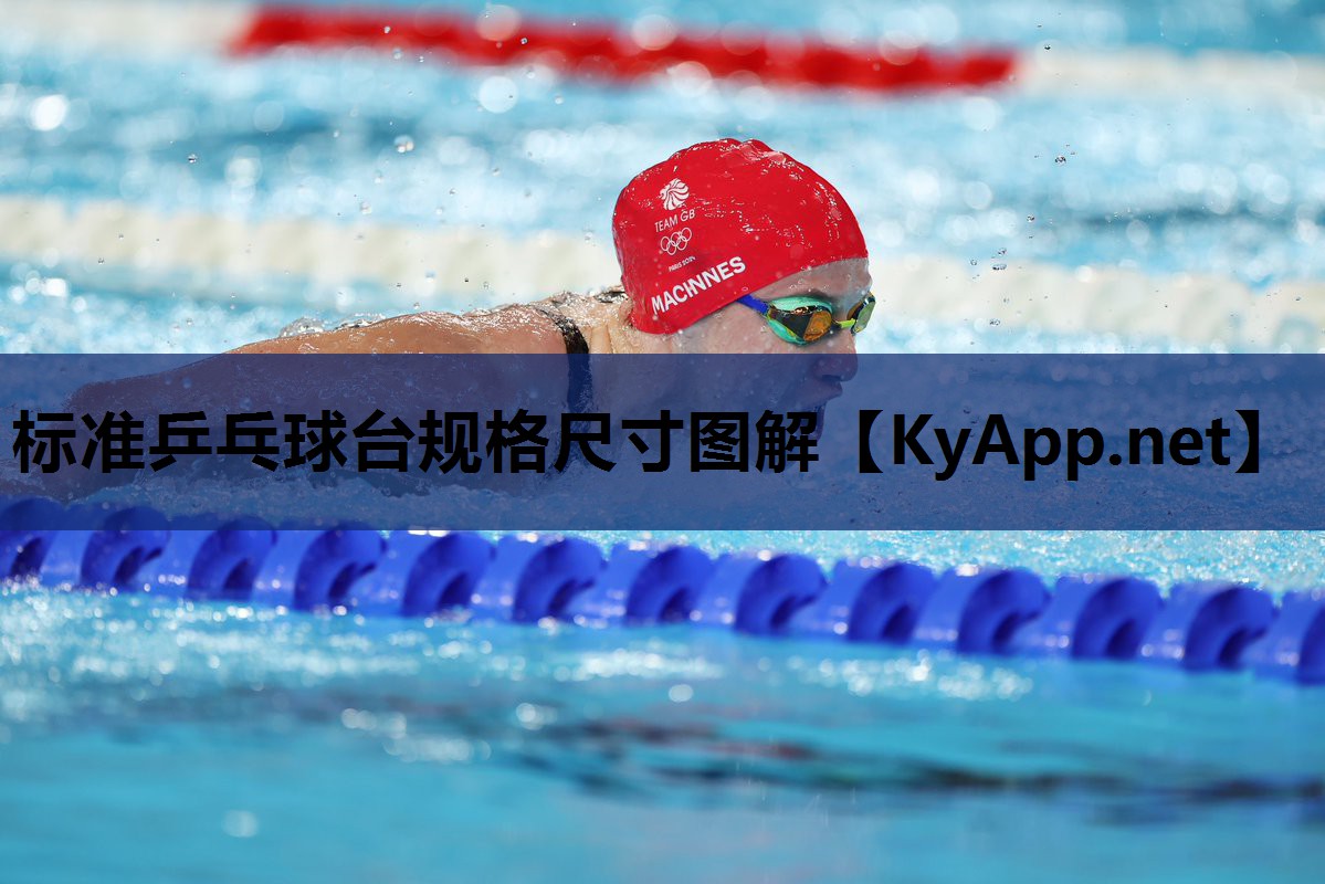 标准乒乓球台规格尺寸图解 标准乒乓球台规格尺寸图解